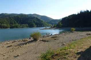 P1000377